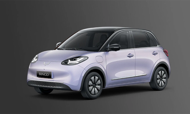 Wuling Bingo